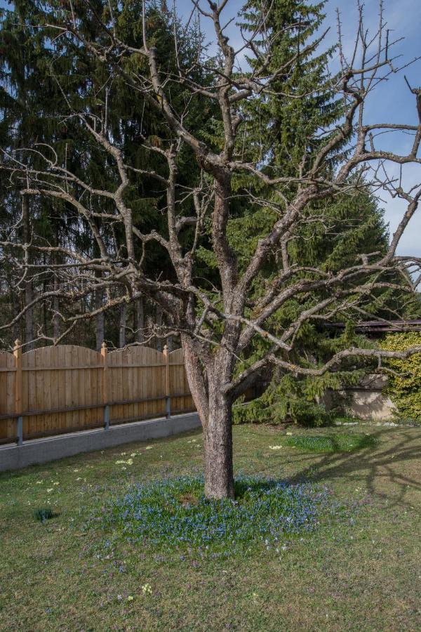 Garten Appartement Harmony Finkenstein am Faaker See Exterior photo
